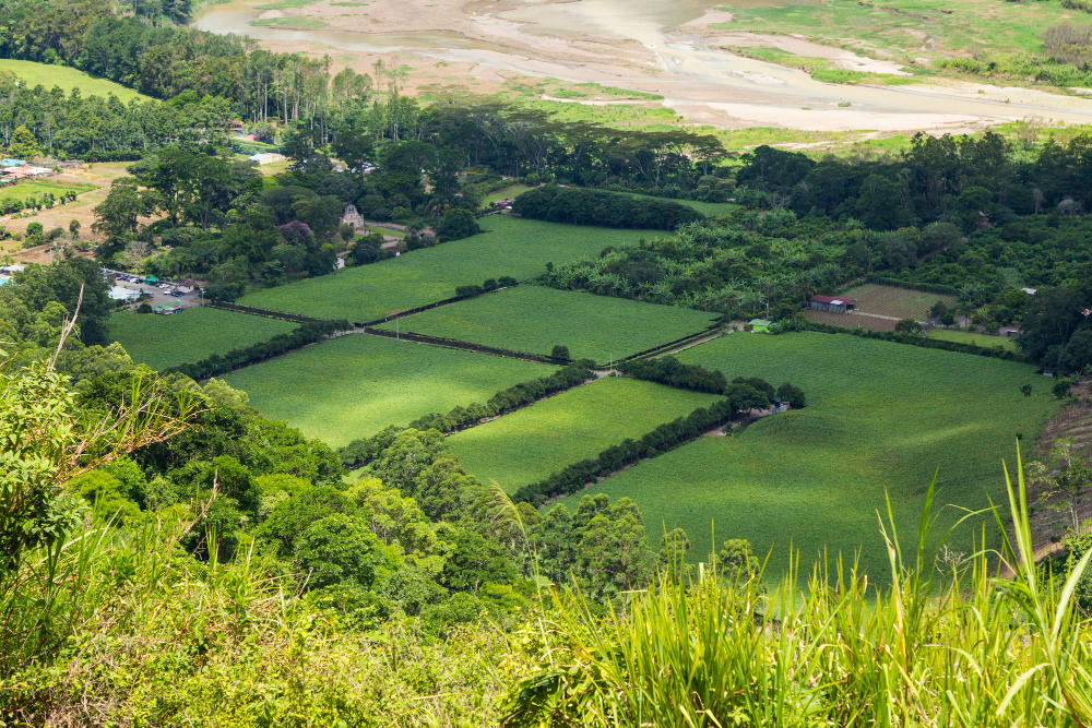 Invest in Land - Buyland2hold