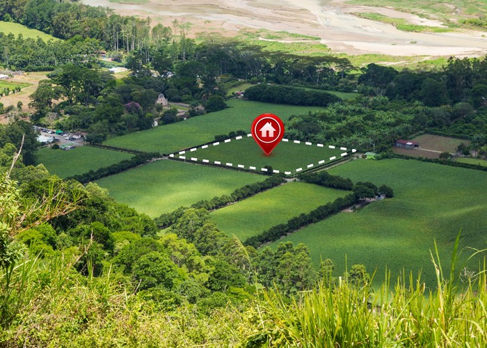 What to Look for When Buying Land in Florida – A Complete Guide